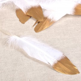 Feather *10