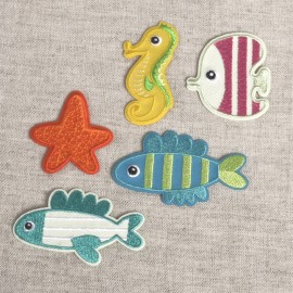 M PATCH MARINE FAUNA