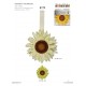 MAGNET TOURNESOL